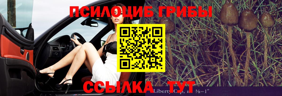 Ишимбай  Псилоцибиновые грибы мицелий  Вход с VPN  наркота  Галлюциногенные грибы мухоморы 
